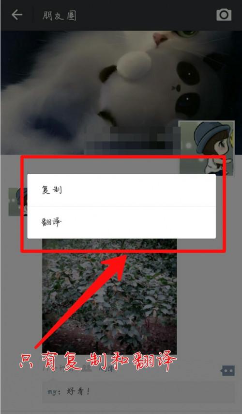微信上发表的朋友圈怎么删除别人的评论